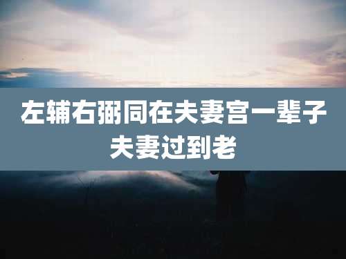 左辅右弼同在夫妻宫一辈子夫妻过到老