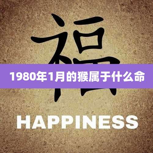 1980年1月的猴属于什么命