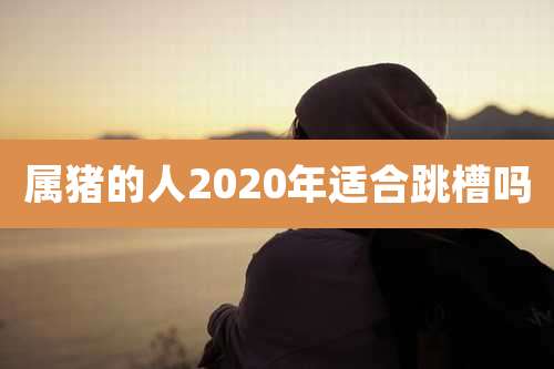 属猪的人2020年适合跳槽吗