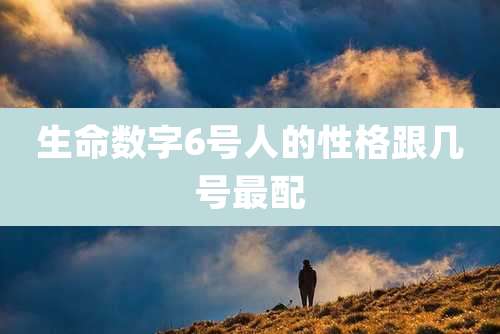 生命数字6号人的性格跟几号最配