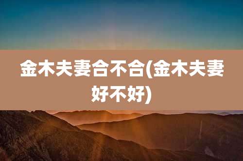 金木夫妻合不合(金木夫妻好不好)