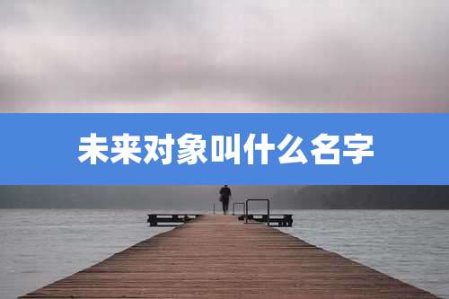 未来对象叫什么名字