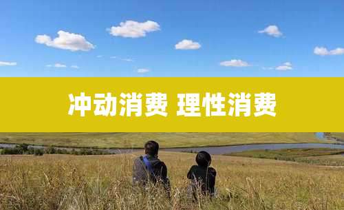 冲动消费 理性消费