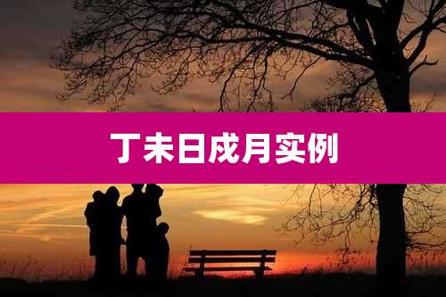 丁未日戍月实例