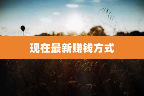 现在最新赚钱方式