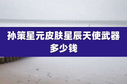 孙策星元皮肤星辰天使武器多少钱