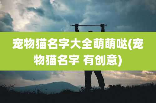 宠物猫名字大全萌萌哒(宠物猫名字 有创意)