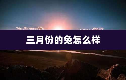 三月份的兔怎么样