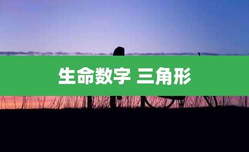 生命数字 三角形