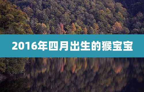 2016年四月出生的猴宝宝