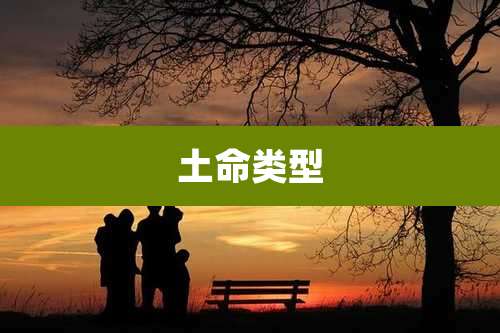 土命类型