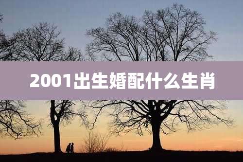 2001出生婚配什么生肖