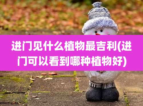 进门见什么植物最吉利(进门可以看到哪种植物好)