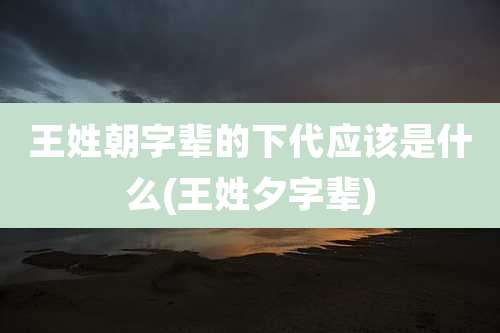 王姓朝字辈的下代应该是什么(王姓夕字辈)