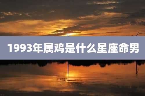 1993年属鸡是什么星座命男