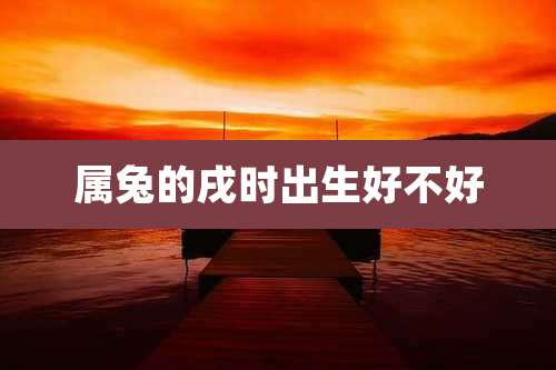 属兔的戌时出生好不好