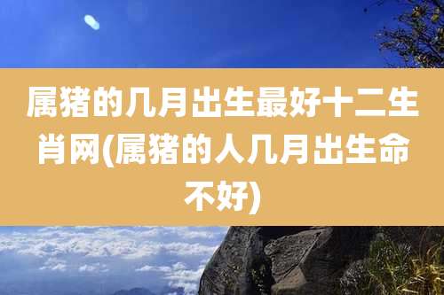 属猪的几月出生最好十二生肖网(属猪的人几月出生命不好)