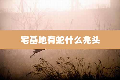 宅基地有蛇什么兆头