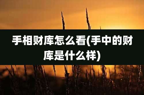 手相财库怎么看(手中的财库是什么样)