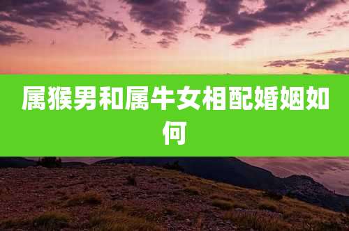 属猴男和属牛女相配婚姻如何