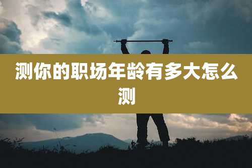 测你的职场年龄有多大怎么测