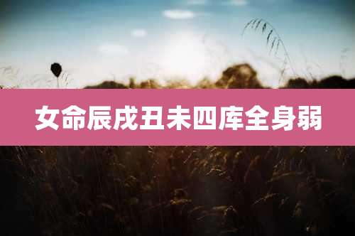女命辰戌丑未四库全身弱