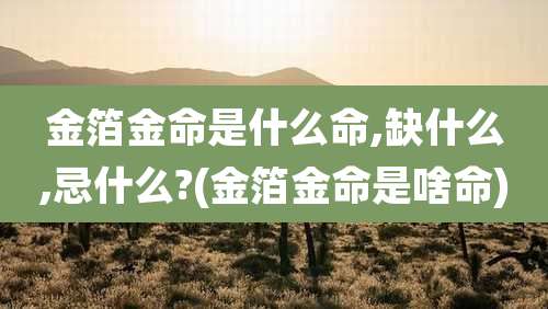 金箔金命是什么命,缺什么,忌什么?(金箔金命是啥命)