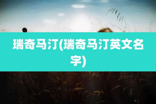 瑞奇马汀(瑞奇马汀英文名字)