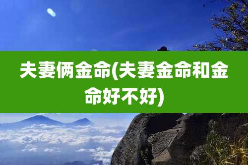 夫妻俩金命(夫妻金命和金命好不好)