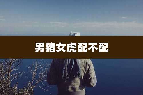 男猪女虎配不配