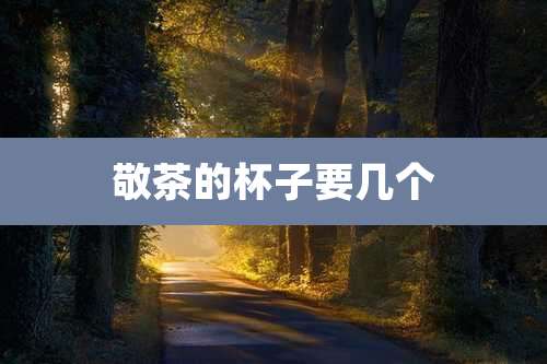 敬茶的杯子要几个