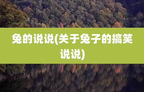 兔的说说(关于兔子的搞笑说说)