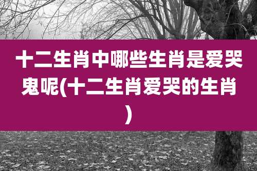 十二生肖中哪些生肖是爱哭鬼呢(十二生肖爱哭的生肖)