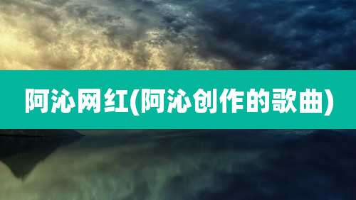 阿沁网红(阿沁创作的歌曲)