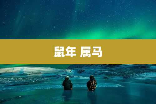 鼠年 属马