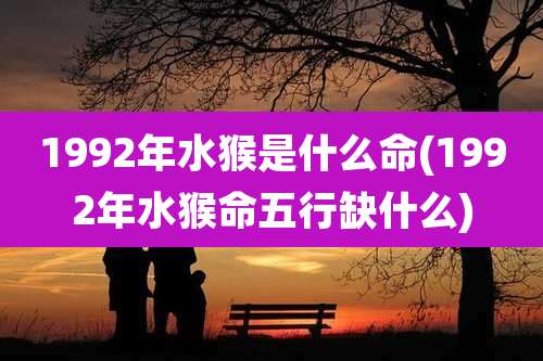 1992年水猴是什么命(1992年水猴命五行缺什么)