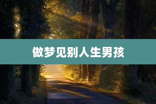 做梦见别人生男孩