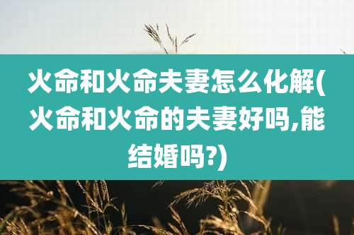 火命和火命夫妻怎么化解(火命和火命的夫妻好吗,能结婚吗?)