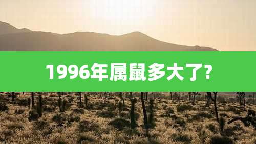 1996年属鼠多大了?