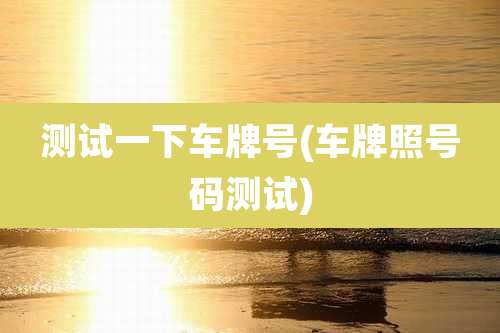 测试一下车牌号(车牌照号码测试)