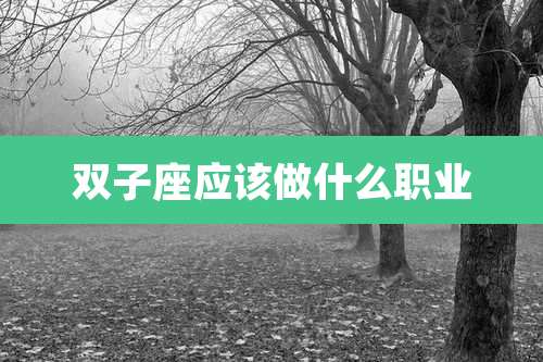 双子座应该做什么职业