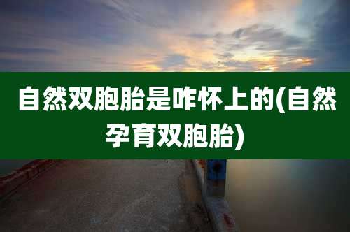 自然双胞胎是咋怀上的(自然孕育双胞胎)
