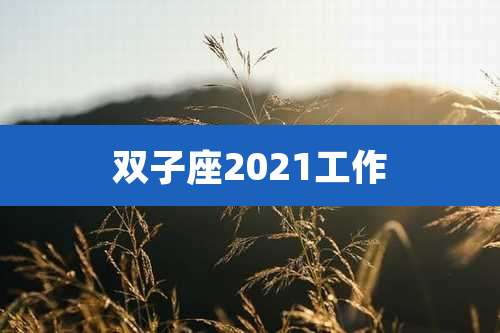 双子座2021工作
