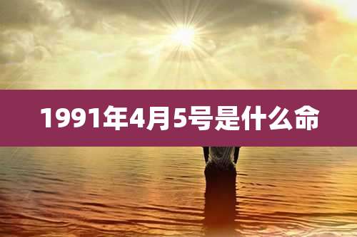 1991年4月5号是什么命