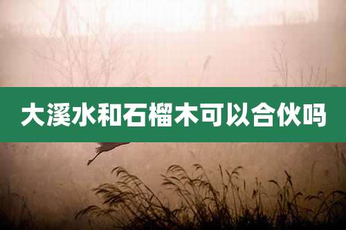 大溪水和石榴木可以合伙吗