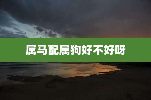 属马配属狗好不好呀