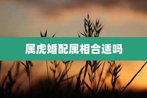 属虎婚配属相合适吗