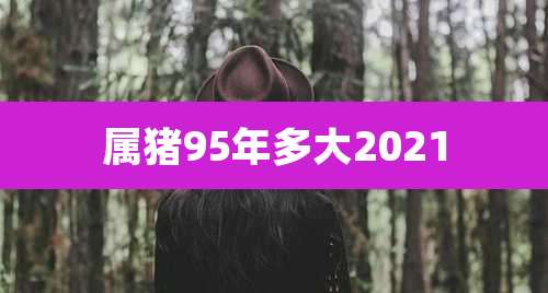 属猪95年多大2021