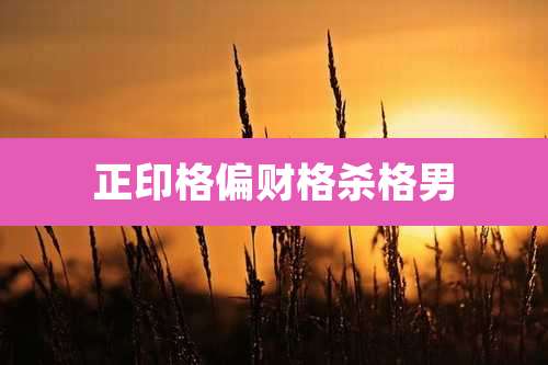 正印格偏财格杀格男