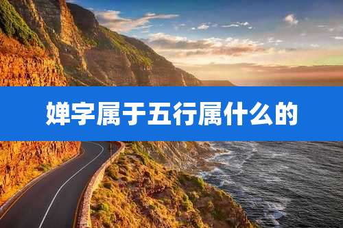 婵字属于五行属什么的